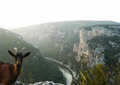 Chevre-Ardeche