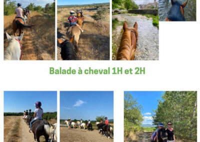 camping-le-vieux-moulin-centre-equestre