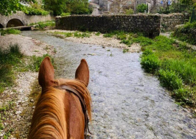 camping-le-vieux-moulin-equitation-ardeche